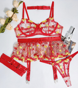 Elena Rouge Embroidered Mesh Sett YouAreCornyBye