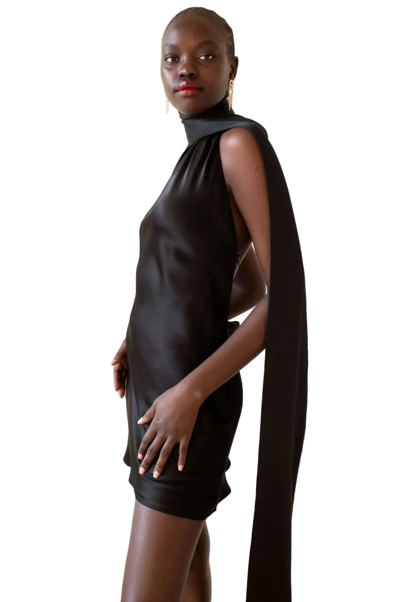 Noelle Satin Dress YouAreCornyBye
